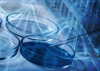 Novartis abre candidaturas a programa de aceleração de investigação científica em Portugal