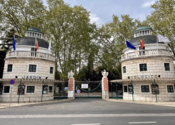 Jardim Zoológico encerra “de portas abertas” e leva conteúdos inéditos e férias da Páscoa a casa de todos os Exploradores da Natureza