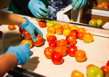 300 Vagas de Emprego para Castanheira do Ribatejo e Marateca