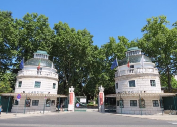 Jardim Zoológico oferece entradas aos profissionais de saúde, bombeiros e membros da PSP e GNR como forma de agradecimento