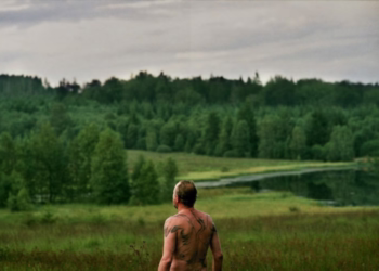 365 Algarve regressa a partir de 15 de julho com cinema e literatura, teatro artes visuais e piqueniques de charme