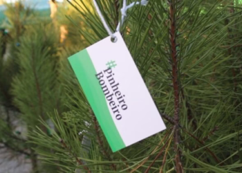 Pinheiro Bombeiro de volta para iluminar um Natal diferente