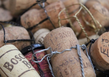 LIPOR, Maiambiente e Quercus encetam projeto piloto de recolha de rolhas de cortiça