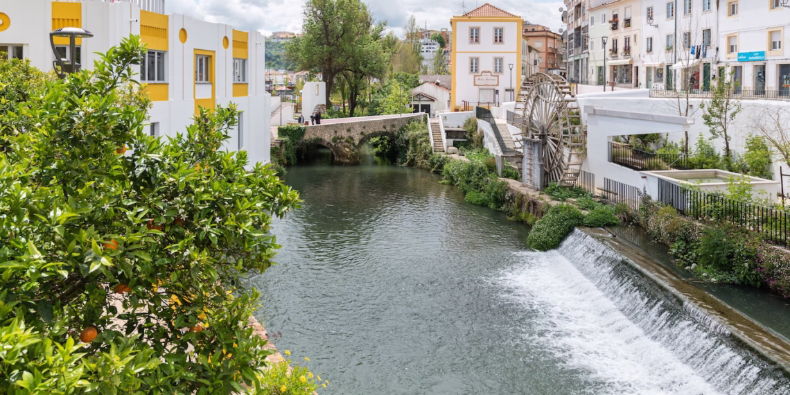 Torres Novas promove 1.ª Mostra de Sabores e Produtos do Território