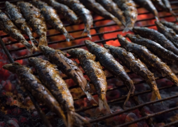 A Alma da Mesa Portuguesa: Entre Sardinhas e Bacalhau