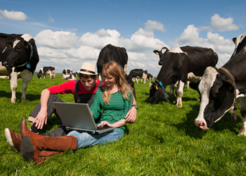 Viver melhor longe da cidade: a mudança silenciosa dos jovens portugueses