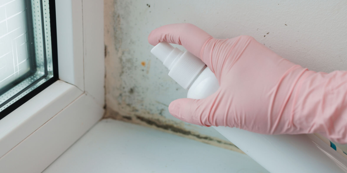 Como eliminar humidade nas paredes sem transformar a casa num estaleiro