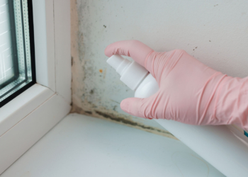 Como eliminar humidade nas paredes sem transformar a casa num estaleiro